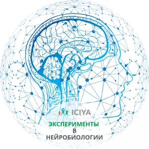 Эксперименты в нейробиологии