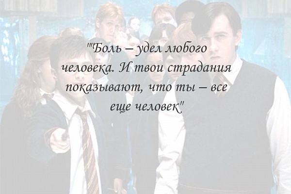 Многие любят Гарри Поттера