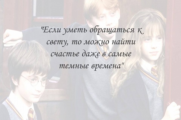 Многие любят Гарри Поттера